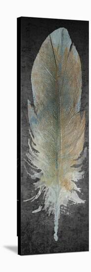 Feathered A-Kimberly Allen-Stretched Canvas