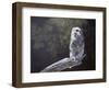 Feathered Alarm Clock-Rusty Frentner-Framed Giclee Print