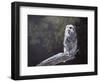 Feathered Alarm Clock-Rusty Frentner-Framed Giclee Print