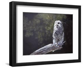 Feathered Alarm Clock-Rusty Frentner-Framed Giclee Print