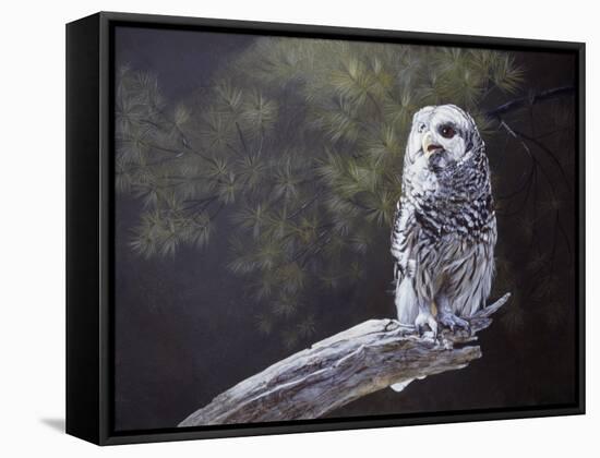 Feathered Alarm Clock-Rusty Frentner-Framed Stretched Canvas