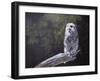 Feathered Alarm Clock-Rusty Frentner-Framed Giclee Print