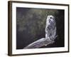 Feathered Alarm Clock-Rusty Frentner-Framed Giclee Print