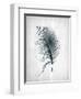 Feathered Dreams 3-Kimberly Allen-Framed Art Print