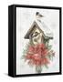 Feathered Festivities V-Leslie Trimbach-Framed Stretched Canvas