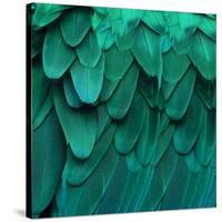 Feathered Friend - Aqua-Julia Bosco-Stretched Canvas