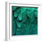 Feathered Friend - Aqua-Julia Bosco-Framed Art Print