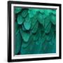 Feathered Friend - Aqua-Julia Bosco-Framed Art Print