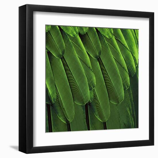 Feathered Friend - Green-Julia Bosco-Framed Art Print