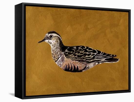 Feathered Friend I-Melissa Wang-Framed Stretched Canvas