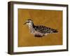 Feathered Friend I-Melissa Wang-Framed Art Print