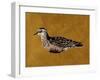 Feathered Friend I-Melissa Wang-Framed Art Print