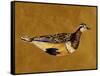 Feathered Friend II-Melissa Wang-Framed Stretched Canvas