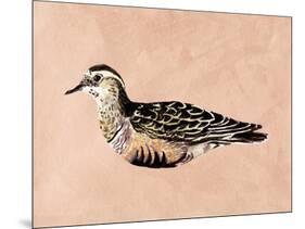 Feathered Friend III-Melissa Wang-Mounted Art Print