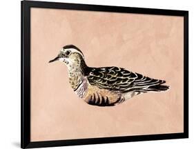 Feathered Friend III-Melissa Wang-Framed Art Print