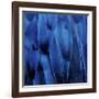 Feathered Friend - Indigo-Julia Bosco-Framed Art Print