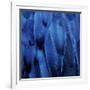 Feathered Friend - Indigo-Julia Bosco-Framed Art Print