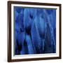 Feathered Friend - Indigo-Julia Bosco-Framed Art Print