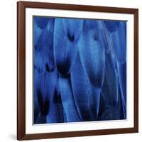 Feathered Friend - Indigo-Julia Bosco-Framed Art Print