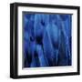 Feathered Friend - Indigo-Julia Bosco-Framed Art Print