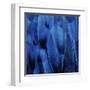 Feathered Friend - Indigo-Julia Bosco-Framed Art Print