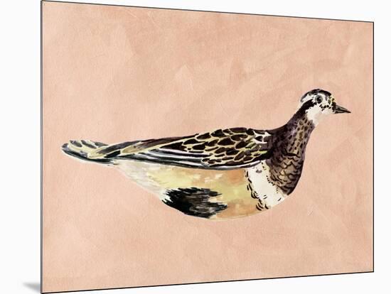 Feathered Friend IV-Melissa Wang-Mounted Art Print