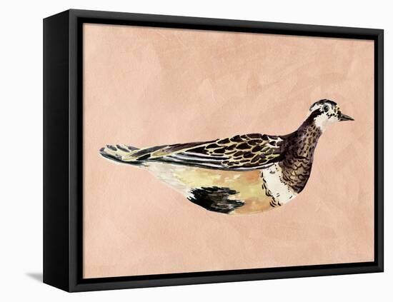 Feathered Friend IV-Melissa Wang-Framed Stretched Canvas