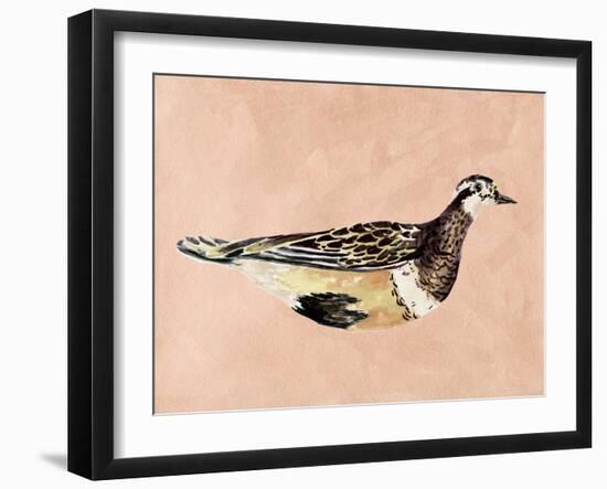 Feathered Friend IV-Melissa Wang-Framed Art Print