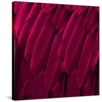 Feathered Friend - Magenta-Julia Bosco-Stretched Canvas