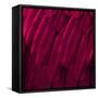 Feathered Friend - Magenta-Julia Bosco-Framed Stretched Canvas