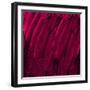 Feathered Friend - Magenta-Julia Bosco-Framed Art Print