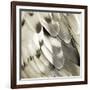 Feathered Friend - Pearl I-Julia Bosco-Framed Art Print