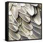 Feathered Friend - Pearl II-Julia Bosco-Framed Stretched Canvas