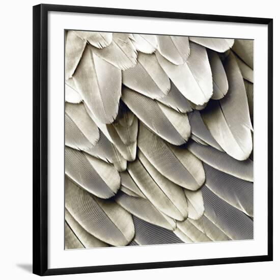 Feathered Friend - Pearl II-Julia Bosco-Framed Art Print