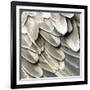 Feathered Friend - Pearl II-Julia Bosco-Framed Art Print