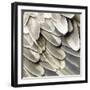 Feathered Friend - Pearl II-Julia Bosco-Framed Art Print