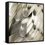 Feathered Friend - Pearl IV-Julia Bosco-Framed Stretched Canvas