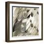 Feathered Friend - Pearl IV-Julia Bosco-Framed Art Print