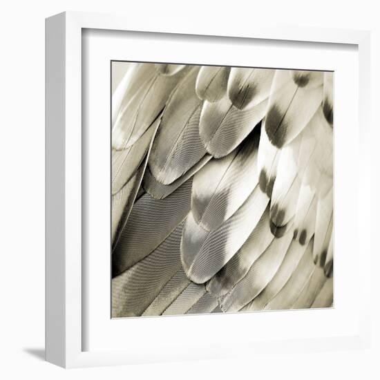 Feathered Friend - Pearl IV-Julia Bosco-Framed Art Print