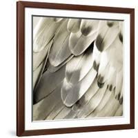Feathered Friend - Pearl IV-Julia Bosco-Framed Art Print