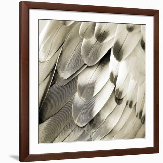 Feathered Friend - Pearl IV-Julia Bosco-Framed Art Print