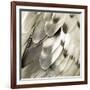 Feathered Friend - Pearl IV-Julia Bosco-Framed Art Print