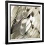 Feathered Friend - Pearl IV-Julia Bosco-Framed Art Print