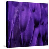 Feathered Friend - Purple-Julia Bosco-Stretched Canvas