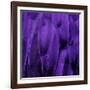 Feathered Friend - Purple-Julia Bosco-Framed Art Print