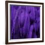 Feathered Friend - Purple-Julia Bosco-Framed Art Print
