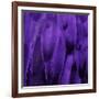 Feathered Friend - Purple-Julia Bosco-Framed Art Print