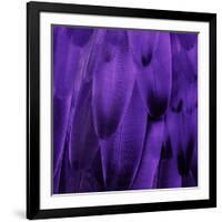 Feathered Friend - Purple-Julia Bosco-Framed Art Print