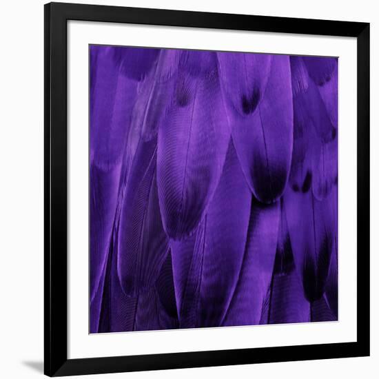 Feathered Friend - Purple-Julia Bosco-Framed Art Print