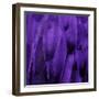 Feathered Friend - Purple-Julia Bosco-Framed Art Print